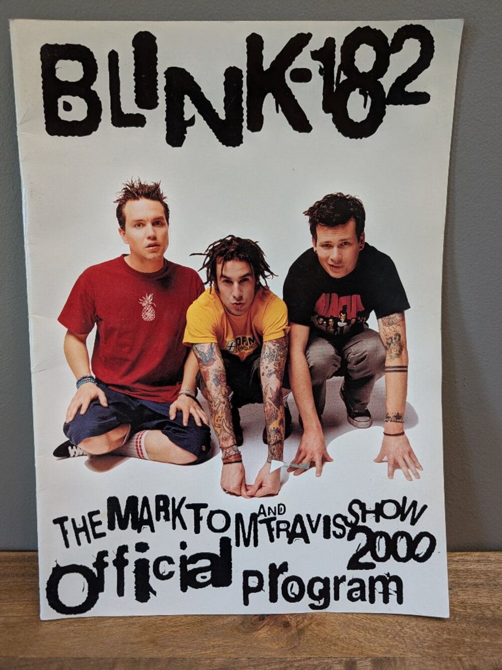 Vintage Blink-182 2000 Tour Program Book - RARE Collector's Item